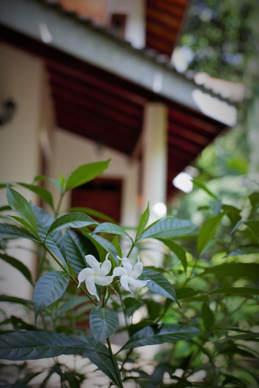 Binara Home Stay Polonnaruwa Bagian luar foto