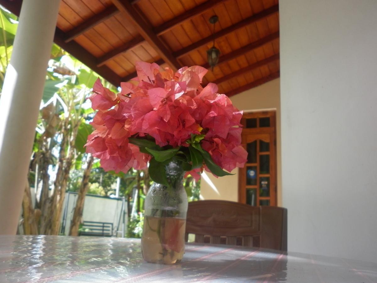 Binara Home Stay Polonnaruwa Bagian luar foto